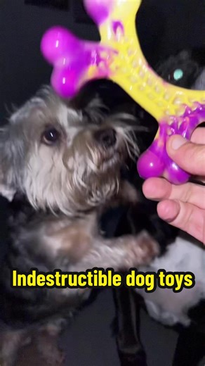 Indestructible Dog Toys: Perfect for Strong Chewers