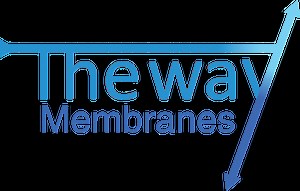 Direct Retrofit | Theway Membranes | UltraFiltration Membranes | UF  Retrofits |