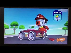 Paw Patrol Clip: Marshall Flower Stuck on Nose Sneezing