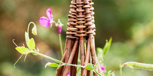 23 clever trellis ideas to transform your garden