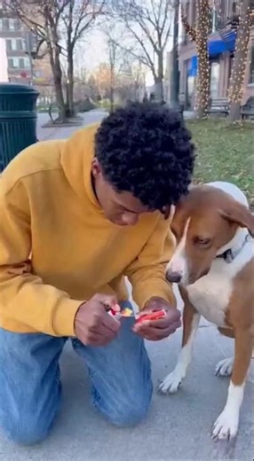 "Firecracker Prank Gone Wrong – Dog + Old Man = Epic Fun! 😂🔥"