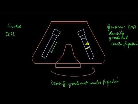 Satellite DNA | Molecular basis of inheritance | Biology | Khan Academy