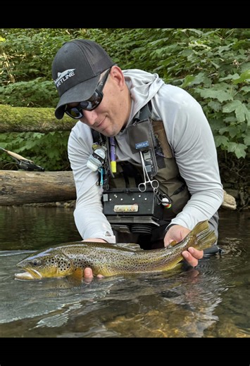 Summer Dry Fly Fishing Adventures