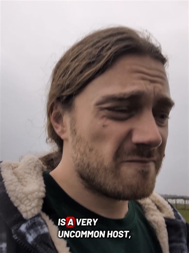 Plant Parasite: A Fascinating Look at Nature's Intricacies