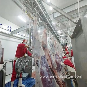 [Hot Item] Cattle Carcass Band Splitting Saw (original: China) Cow Slaughtering Machine