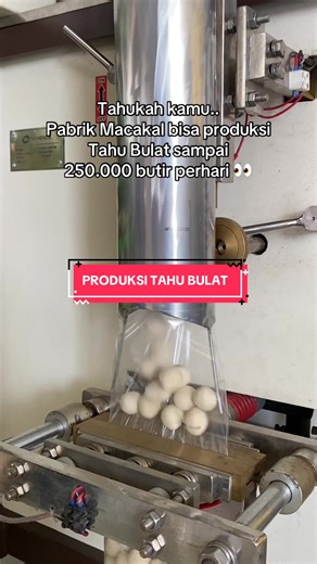 Production of Tahu Bulat: Over 250,000 Pieces Daily!