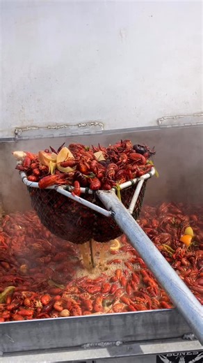 Gulf Coast Crawfish Co. 🦞 on Instagram: "Your view coming soon! Reach out to secure your onsite crawfish boil date for all those springtime parties! 🦞 gulfcoastcrawfish.com #neworleans #crawfish #seafood #catering #shrimp"