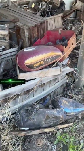 Salvage yard shorts Vintage Yamaha Enduro, Honda, Kawasaki, Suzuki, dirt bike, gas tank, motorcycle.