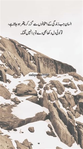 Lonely Urdu Poetry Quotes for Emotional Reflection