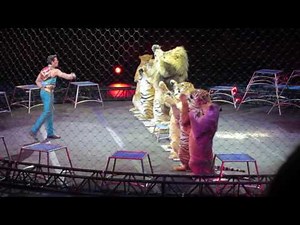 lions and tigers at Ringling Bros. Great circus_HD