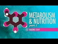 Metabolism & Nutrition, part 1: Crash Course ( Video ) | Biology