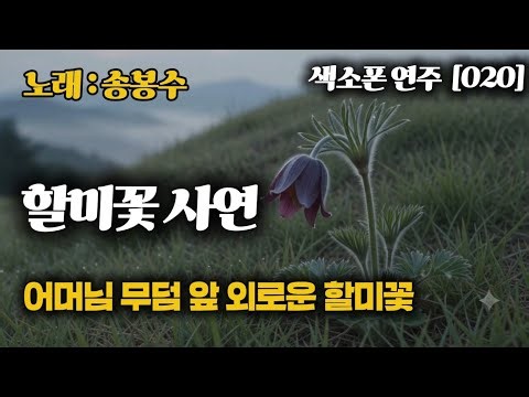 [연주] 어머님 무덤 앞 외로운 할미꽃... 듣는 순간 눈물 쏟아지는 명곡 - 할미꽃 사연 🎷👵 #에어로폰 #송봉수 #사모곡