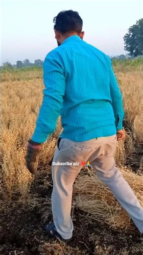 shetkari manus👑# मराठी चैनल #शेतकरी#shetkari#farming #villagelife#shorts#videos #farmer#marathimulga