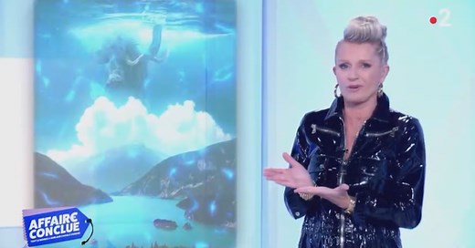 «La pire arnaque du siècle», «Les experts n’y connaissent rien»: cette vente dans «Affaire conclue» laisse les internautes perplexes (vidéo)