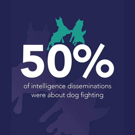 2.2K views · 41 reactions | Help us stop animal cruelty: your reports...