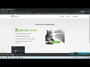 How to install Torrent free verson