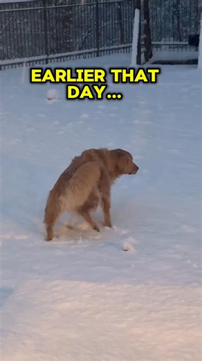 Buddyspreadslove | Boo Boss! Do something ⛄️🧊! #snowman #winterstorm2025 #holidayseason #christmas2025 #christmas | Instagram