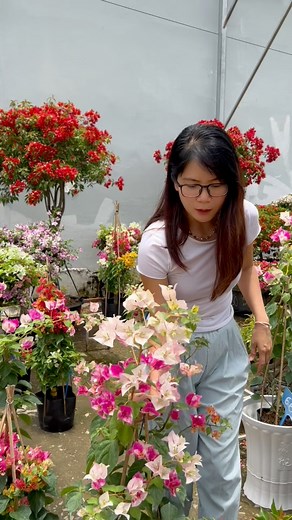 104K views · 1.9K reactions | Cách set up ban công xinh đẹp #casafarmshop #casafarm | CASA FARM | Facebook