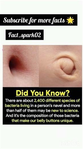 thonu pta c eh 🤯#knowledge #facts #amazingfacts #shortsviral #viral #factspark #dailyreels