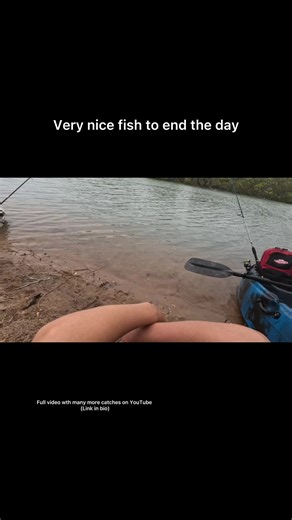 Estuary Fishing Adventure in Hervey Bay