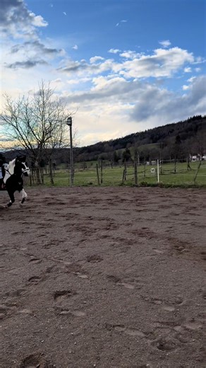 @Fantasie Pferdehaarschmuck danki💋