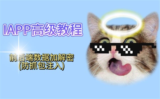 iApp高级教程—前后端数据加解密(防抓包注入)