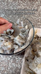 My cat loves shrimp #cat #shrimp #reels | Unique Miranda