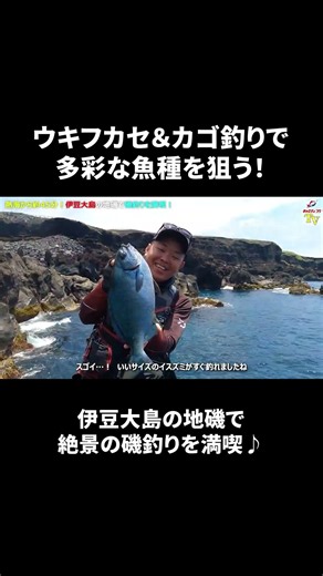 伊豆大島の地磯で磯釣りを満喫！【ウキフカセ釣り・カゴ釣り】_short