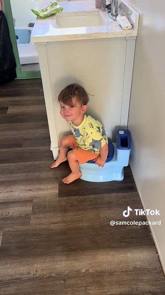 Potty Training Tips for Toddlers: Encouragement and Advice