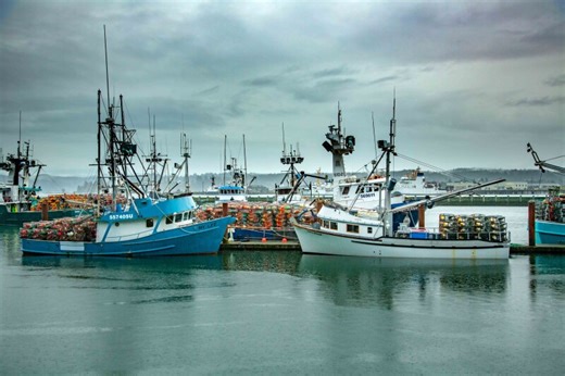 Oregon commercial fishing hits $517M high in 2025