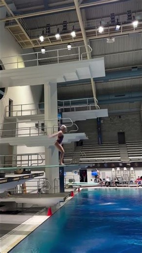 Springboard Technique #diving #aquatics