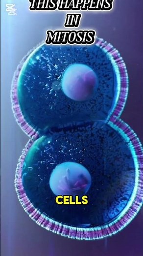 How Cells Multiply | The Magic of Mitosis