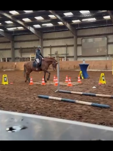 Working Equitation Training with Chico