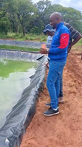 Farming the right way is key to maximum yelds and profits..it all starts with a site visit and good site selection as well as pond design and construction,then progresses with water quality management and good feed management e.t.c For more information call or whatapp 0971570980 or 0977321182 | Musazye Fish -Agro