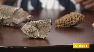 GDL: Take a Deep Dive into Ancient History at the Falls of the Ohio State Park
