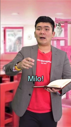 Failure Management Cat Cafe 21