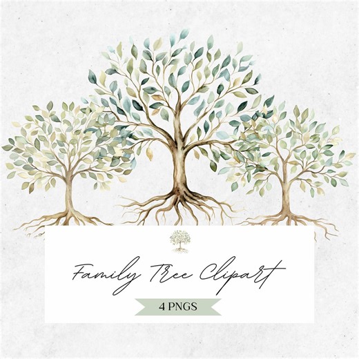 Watercolor Family Tree Clipart: Roots, Botanical Green Leaves PNG (digital Download) -CLP05AB - Etsy