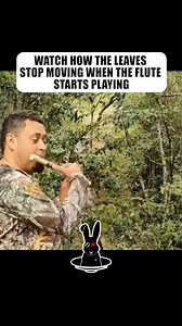 1.7M views · 62K reactions | Watch How The Leaves Stop Moving When The Flute Starts Playing | The Rabbit Hole | Facebook