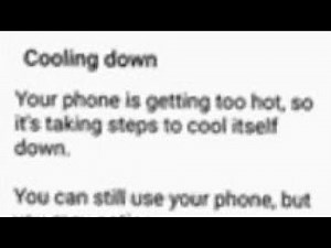 Bfdia 18 with blood and organs