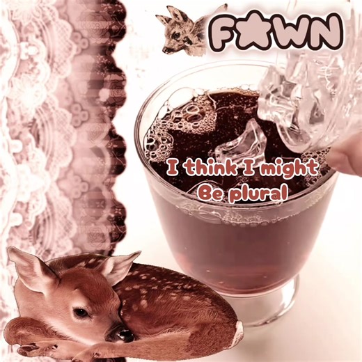 Exploring Plurality: A Personal Journey