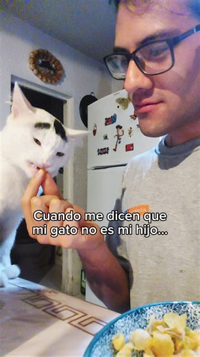 Arthur Soria Heredia on Instagram: "Como que Ares no es mi hijo? 😾 #michis #gatos #cats #gatos #humor"