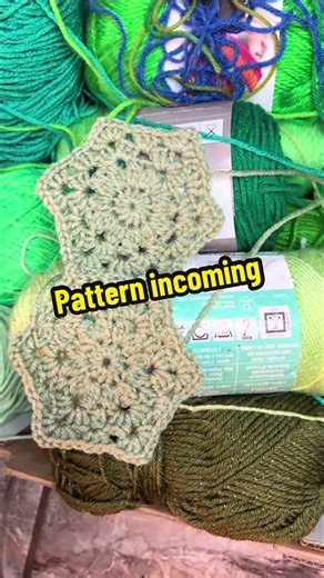 We gonna #crochet! Working on the pattern. And dog tax #dogtax #crochethexagon #crochetlove #freecrochetpattern coming soon