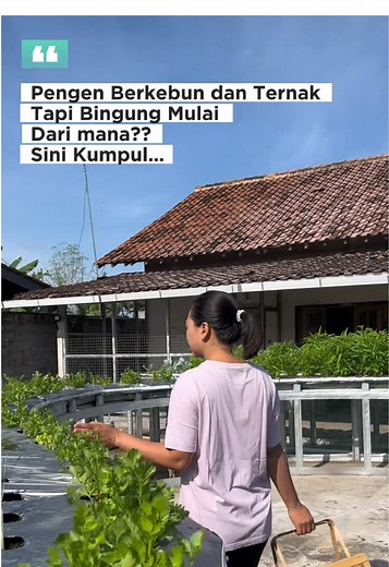 Cara Memulai Kebun dan Ternak di Rumah untuk Pemula