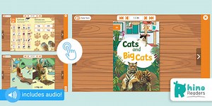 Level 2b Reading Scheme Book: Cats and Big Cats
