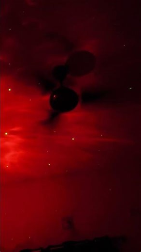 Boat Stone Lumos led party light #boat #party #krishna #bhajan #shayma #brindaban #satisfying #disco