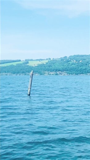 Seneca Lake, NY 👍&🛎️ #nature #newyorkforever #travel #newyork #lake #lakelife #viral