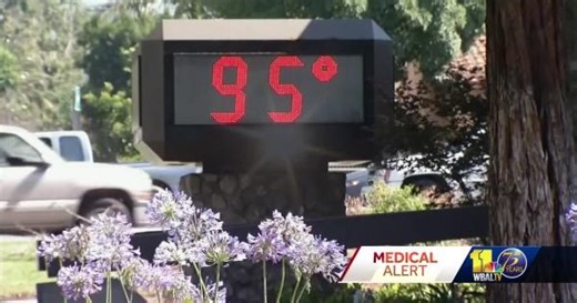 Important signs of heat-related illness and how to respond