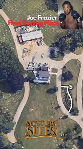 Joe Frazier was a legendary heavyweight boxer known for his formidable career and epic rivalry with Muhammad Ali. He won a gold medal in the 1964 Olympics and became the undisputed heavyweight champion in the late 1960s. His most famous bouts include the "Fight of the Century" against Ali in 1971, where Frazier suffered his first professional loss, and the "Thrilla in Manila" in 1975, an intense battle against Ali. Frazier's career faced challenges after losing to Ali, and he retired in 1976. He