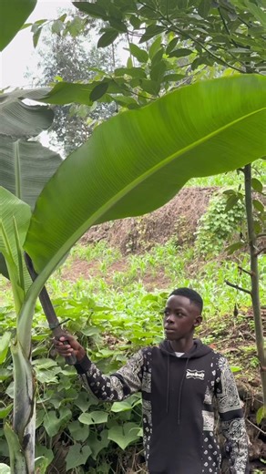 Baked Fish Recipe in the Wild | Cooking with William