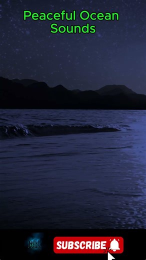 Gentle Sea Waves 🌊 Peaceful Ocean Sounds